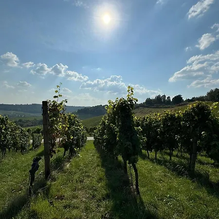 Welcoming In With Garden Holiday home Kinheim